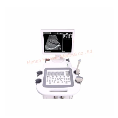 Full Digital B/W Trolley Ultrasound Scanner Diagnostic Sonar Yj