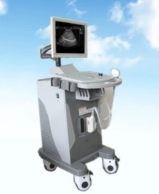 Ce/ISO Approved 15 Inch Diagnostic Ultrasound with 96 Elements Probe and Trolley (YJ